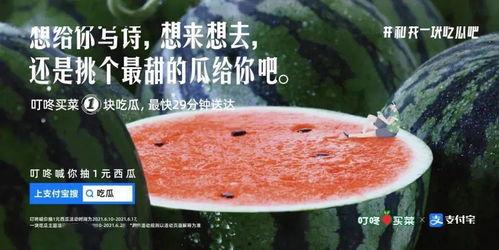 娃娃吃瓜文案,揭秘娱乐圈那些不为人知的幕后故事