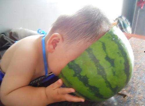 西瓜老弟事件吃瓜,网络舆论的风暴与反思