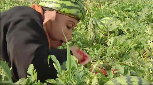 偷着吃瓜,揭秘娱乐圈背后的秘密与八卦