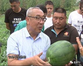 加州博士最新吃瓜,揭秘娱乐圈幕后真相