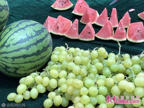 云诗吃瓜,揭秘娱乐圈的甜蜜与苦涩