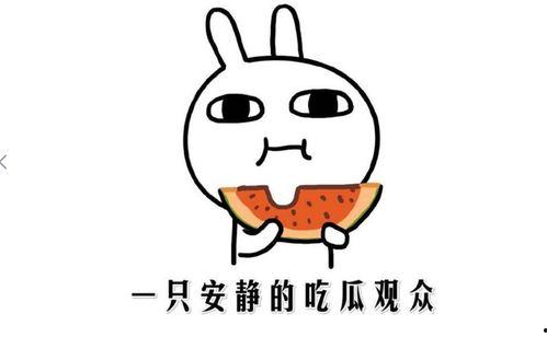 吃瓜解压法,轻松愉悦的休闲生活新方式