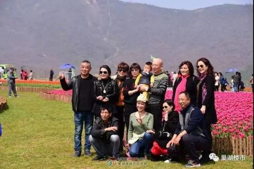 子乐团队吃瓜,娱乐圈幕后趣闻一网打尽