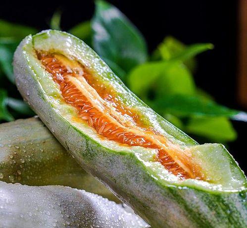 动瓜咋吃,探索美味瓜果的多样食法