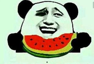 吃瓜网友小郑,揭秘娱乐圈那些不为人知的幕后故事