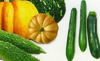 吃瓜清水,揭秘瓜果饮品的新潮流