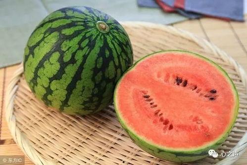 吃隔夜瓜小肠被切