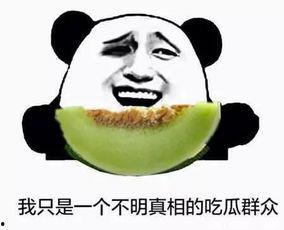 吃不进瓜群众,揭秘“吃不进瓜群众”的神秘面纱