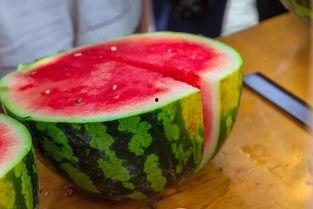 广东高校吃瓜,广东高校的美食瓜界风云录