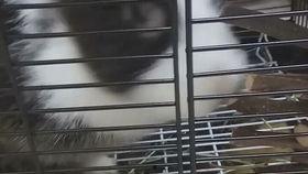 兔叽吃瓜,揭秘娱乐圈那些不为人知的幕后故事