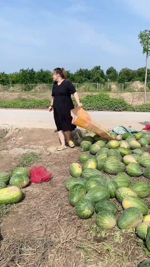 农村吃瓜回忆,那些年我们一起吃瓜的欢乐时光