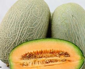 全家吃哈密瓜,全家共享哈密瓜甜蜜时光