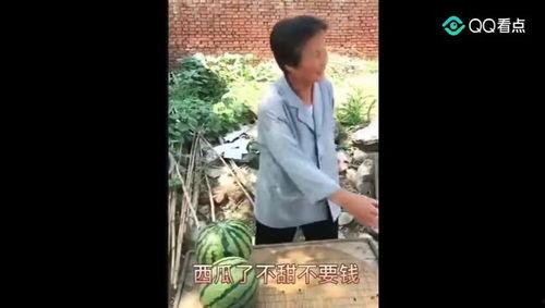 吃瓜者搞笑集锦,吃瓜者搞笑集锦大盘点