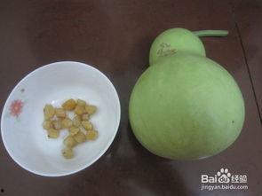 葫芦瓜怎么吃才好啊,解锁美味新境界