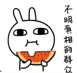 最尴尬司机吃瓜,司机吃瓜引发的囧事大盘点