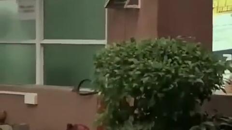 焦作最新吃瓜新闻,最新网红美食事件引发全民热议！