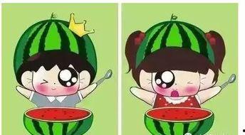 吃瓜的夏天酷拽,酷拽一夏