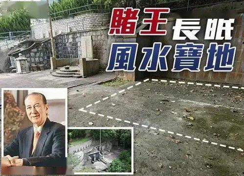 殡仪馆吃瓜,一场意外的生死较量