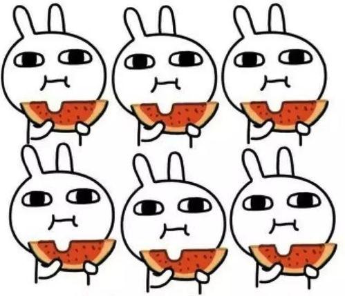 阿乐爆笑挑战吃瓜,吃瓜界的“笑果”达人