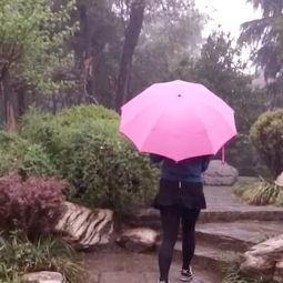 吃瓜聂下雨,揭秘娱乐圈的雨中秘密