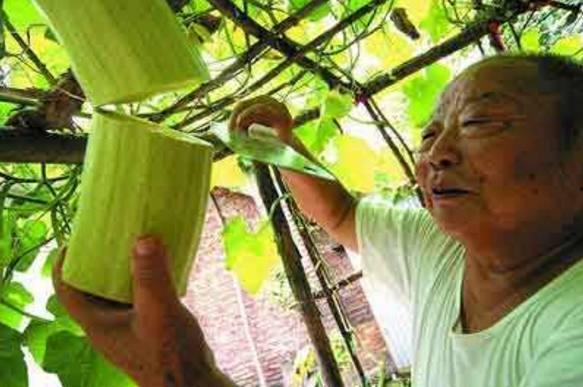 无蔓瓜怎么吃,解锁健康美味新选择