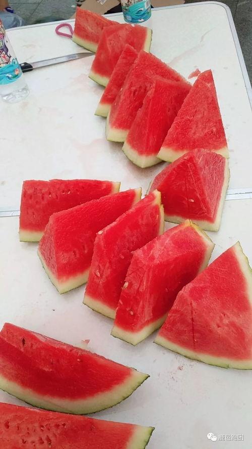 吃瓜大赛奖品,吃瓜大赛丰厚奖品大盘点