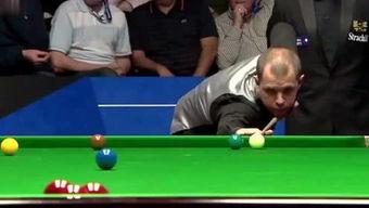 蚊子会吃瓜吗,瓜果的“美食”还是“避之不及”的敌人？