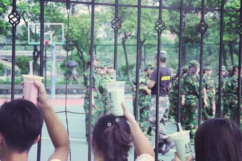 吃瓜静公子,揭秘娱乐圈幕后故事