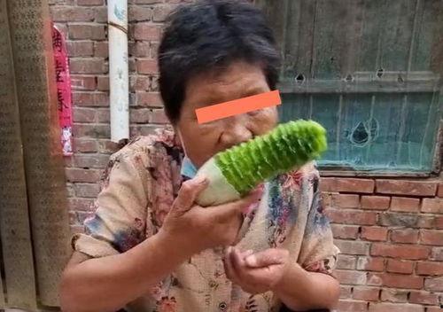 老婆婆吃瓜,老婆婆的甜蜜食光