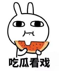 背锅吃瓜图片搞笑,笑翻你的日常小剧场