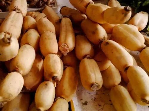 吃瓜吃累了吃藕吧,品味生活的小确幸