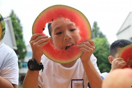 吃瓜喝水卖萌,趣味横生日常记