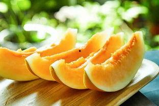 吃蜜瓜的小羊,小羊品尝蜜瓜的欢乐时光